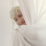 [방탄소년단] 영포에버 하니까 