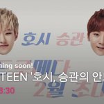 [세븐틴] 아니 솔직히 노리지 않고서야