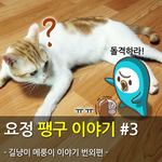 [메룽이집사] 길냥이 메룽이 이야기 번외편 <요정 팽구 이야기>...