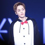 [시우민] <b>동물</b>잠옷을 압도하는 시우민미모