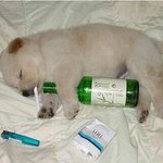 널 못보는나 이렇게 <b>산다</b>.