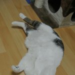 <b>기상</b>