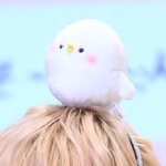 [세븐틴] 이거ㅠㅠ지후니야?