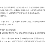 돌쟁이가 <b>피자</b> 먹어도 돼요?