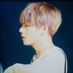 [방탄소년단] 고베콘 프리뷰 떴다!!