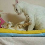 <b>여보</b> 보고싶소
