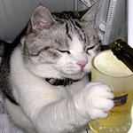 <b>힘내자</b> 