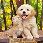 난쟁아 <b>보고</b><b>시</b>푸~~