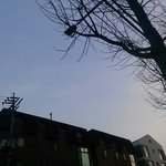 [세븐틴] ㅅㄷ)건물<b>위쪽</b>이예뻐서사진찍었더니