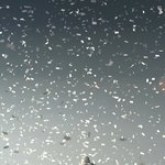 [EXO] 내가 아는언니가 세훈이 <b>동물</b>잠옷입으면