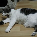 <b>기상</b>