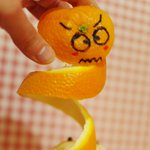 [하늘다람쥐] 하늘다람쥐 두루뭉실이의 피부과 오픈기~!