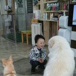 [육아일기] 겁없는 우리아이 나도놀라워