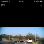 [강아지] 안산에서 서울로 가는 길목에 강아지 버리고 간 xxx