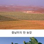 딸기우유 좋아하시는 분들<b>필독</b>!!