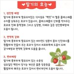 [정보력] 딸기<b>효능</b>과 간단레시피