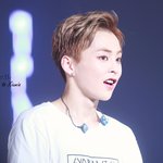 [시우민] 고냥님 생일댄스 (시우민)