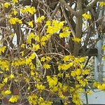 [CHEN] <b>장범준</b> 노래 듣다보니까 종대도 마음정화되는 노래 불러줬음