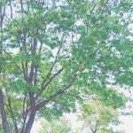 [댓글부탁해] <b>울</b> <b>오빠</b> 곧 결혼하는데