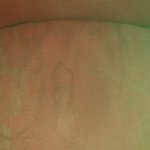 [방탈죄송] <b>이틀전</b>에 청소했다는 영화관 의자