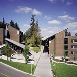 [유학] 대학 어디로 가야 하나요