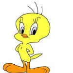 [드루와] <b>트위티</b>닮은 아이돌