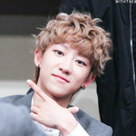 [세븐틴] 서명호의 <b>갭</b>