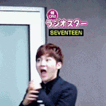 [세븐틴] <b>아기</b><b>다리</b> 고기다리 던~