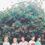 [세븐틴] ㄱㅐㄹ얘기 작작해