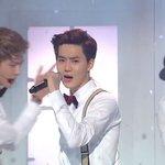 [EXO] 둘기) 야 나 크마데 무대보는데 
