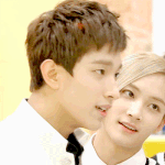 [세븐틴] 힐링