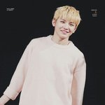[세븐틴] 근데진짜 너무귀엽지않아?