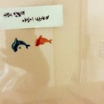 [EXO] 9인지지 언니랑 싸웠는데 이거 언니 방 <b>곳곳</b>에 붙여둠...