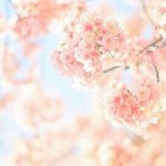 [댓글부탁해] 너네 <b>친구</b> 생일<b>선물</b>로 돈 얼마나써?