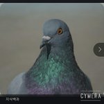 [EXO] <b>사장</b>이실물사진