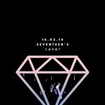 [세븐틴] 나는 애들끼리 <b>서로</b> 아껴주니까
