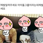 [세븐틴] ㅅㄷ) 잠시 내 덕후력을 <b>의심</b>했어...