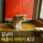 [메룽이<b>집사</b>] 길냥이 메룽이 이야기 #23