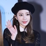 <b>베레모</b> 하니