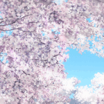 [드루와] 절대 안뜨는 춱춱한 <b>미백</b>크림좀