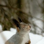 [EXO] 깊은<b>사안</b>속옹달샘