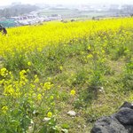 [드루와] 와<b>타시</b> 지금 제주도 수학여행임ㅇㅅㅇ