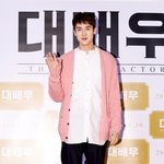 <b>분홍색</b> 흡수하는 유연석