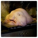 [댓글부탁해] 나 <b>얼</b><b>평</b>좀 빛삭
