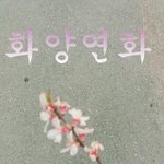[방탄소년단] 와