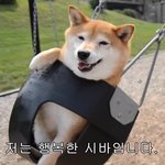 [드루와] 맨날 다이어트 <b>실패</b>하면서 느낀점