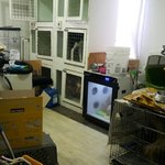 [강아지] 애견카페 <b>퍼피</b>x푼의 실체, 꼭 봐주세요 (퍼왔습니다)