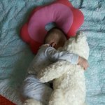 너대신 곰인형 <b>안고</b>잔다 매일