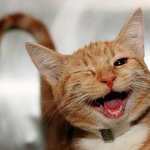 모나 갑자기 왤케 <b>귀염</b>떠냐
