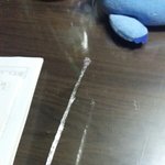 [ㅋㅋㅋㅋㅋ] ㅋㅋㅋㅋㅋㅋ우드락<b>본드</b>